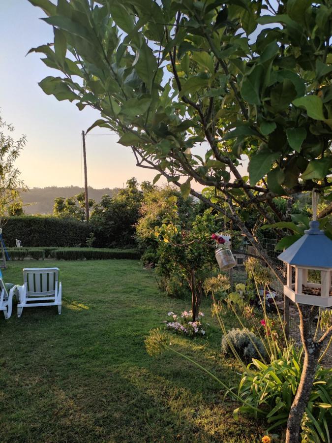 Nature Et Al House - Casa Para Uso Exclusivo E Jardim - Little Farm Batalha Dış mekan fotoğraf